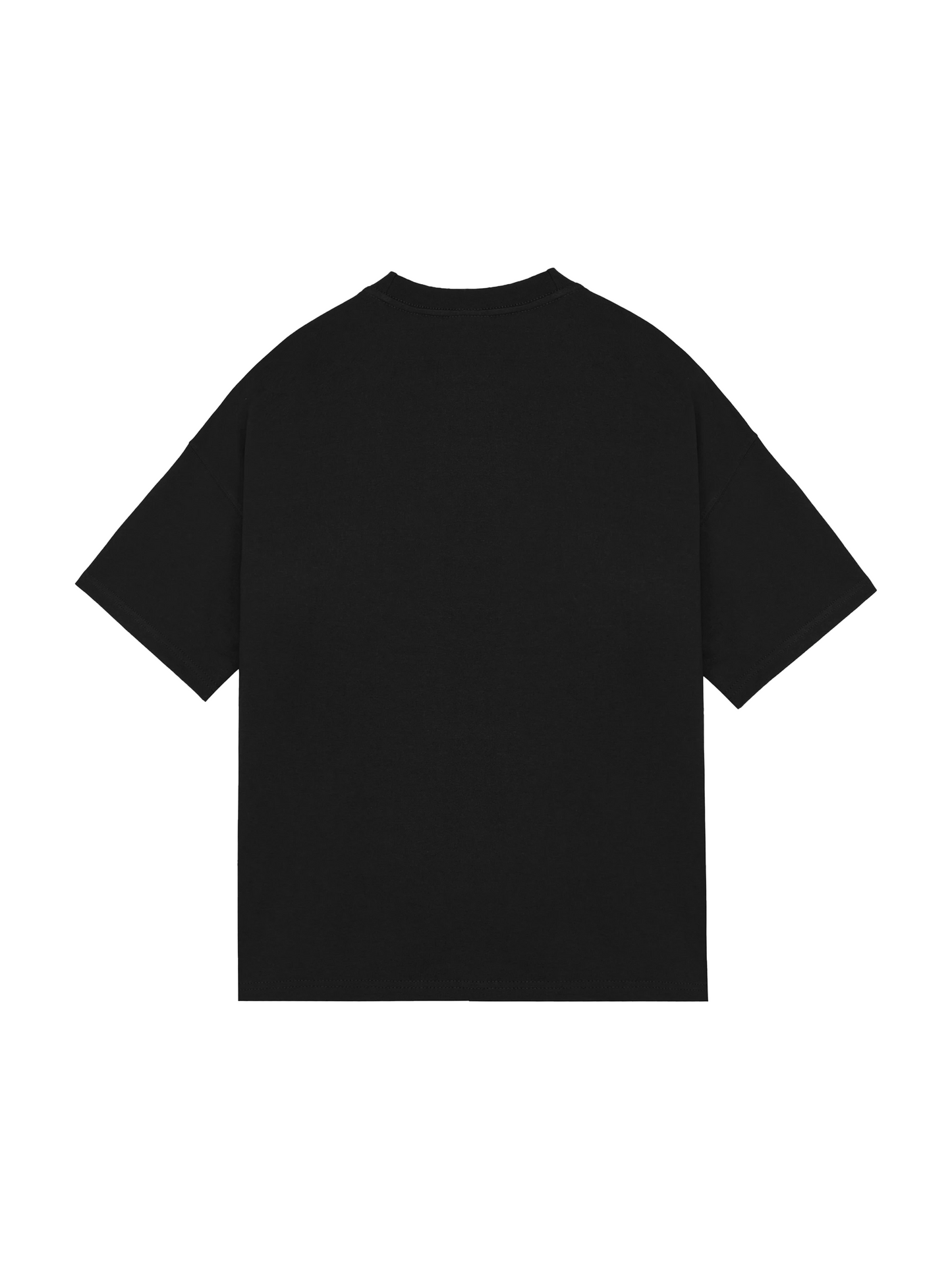 MIRZA SAHIBA BOXY T-SHIRT